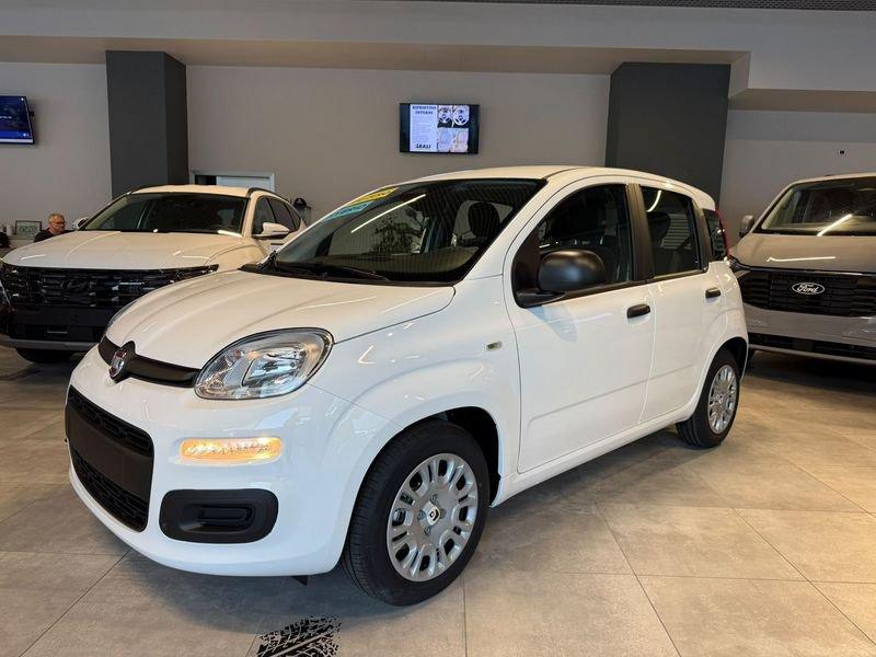 FIAT Pandina Pandina 5p 1.0 FireFly 65cv S&S 6m Hybrid Icon