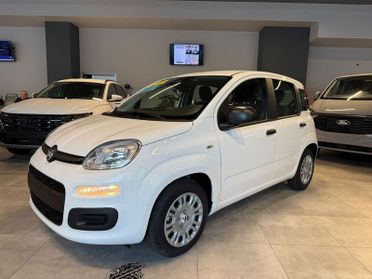 FIAT Pandina Pandina 5p 1.0 FireFly 65cv S&S 6m Hybrid Icon