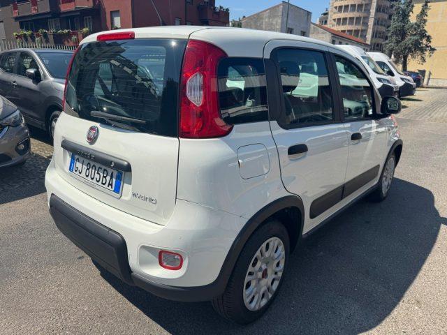 FIAT Panda 1.0 GSE S&S Hybrid Street (AUTOCARRO N1)