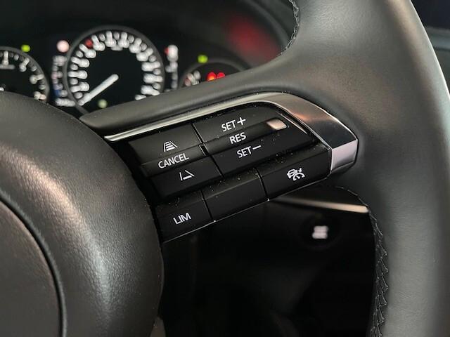 Mazda CX-30 2.0L e-Skyactiv-X M Hybrid AWD Nagisa
