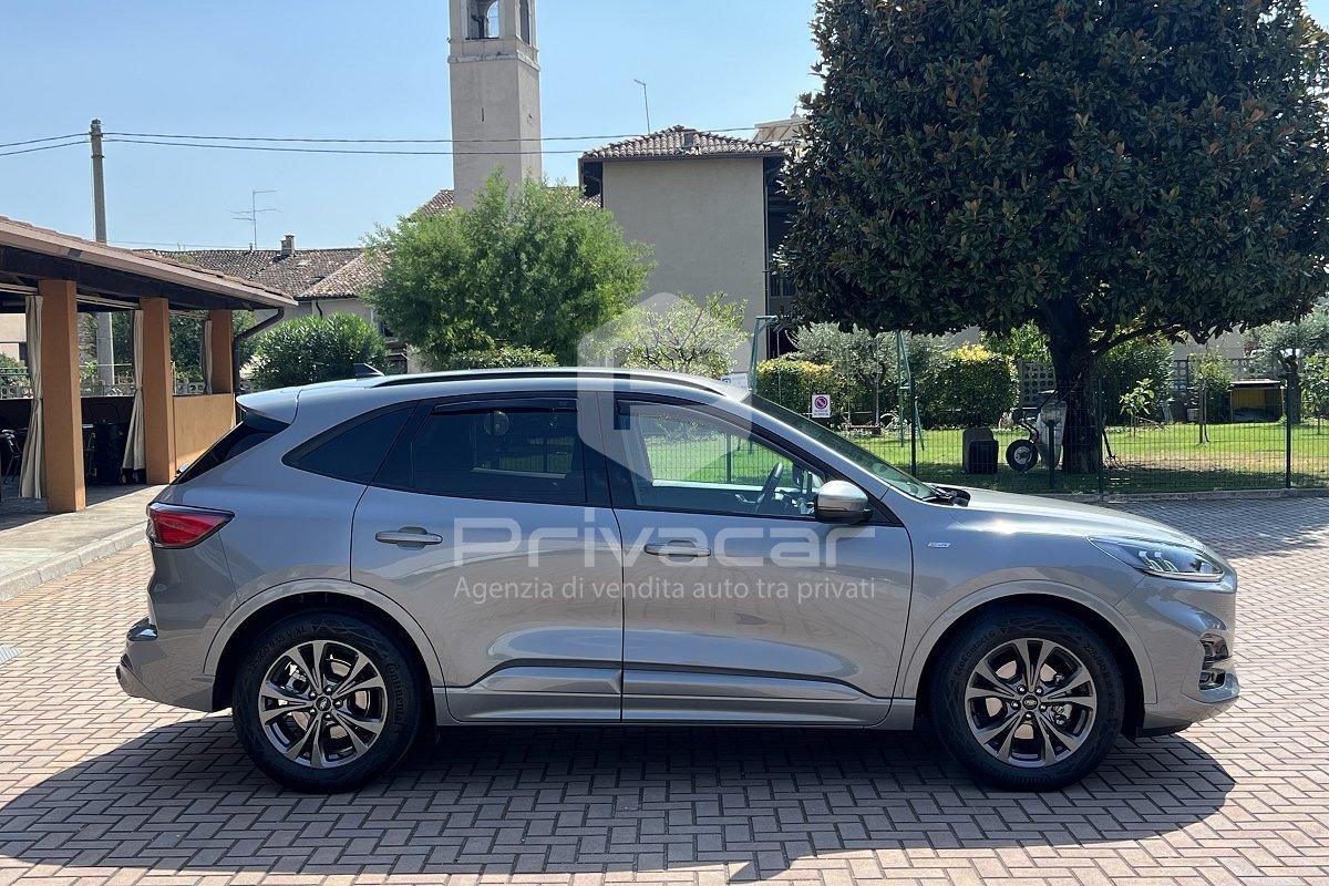 FORD Kuga 1.5 EcoBlue 120 CV 2WD ST-Line
