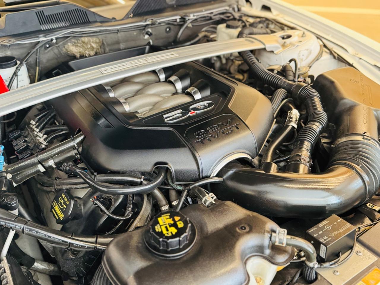 FORD MUSTANG GT 500 V8 5000 DEPOTENZIATA A LIBRETTO 250 CV NO SUPERBOLLO