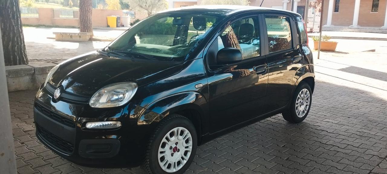 Fiat Panda 1.2 Fire 05/12 Km 48.402 €7900