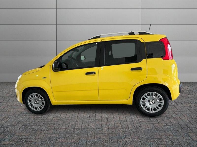 FIAT Pandina Pandina 1.0 firefly hybrid Icon s&s 65cv