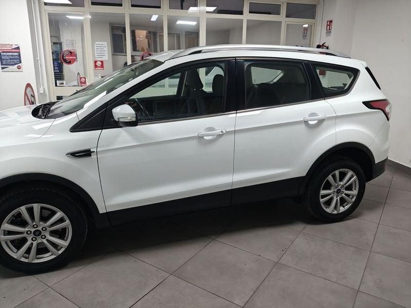 Ford Kuga Kuga 1.5 TDCI 120 CV S&S 2WD Business