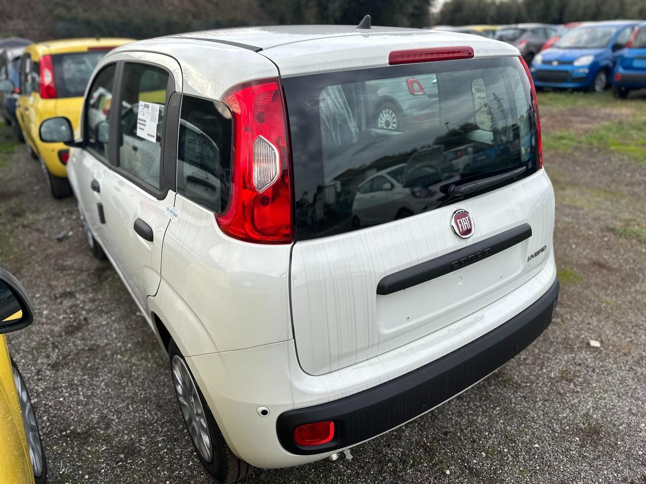 FIAT Pandina III 2024 - Pandina 1.0 firefly hybrid s&s 70cv 5p.ti