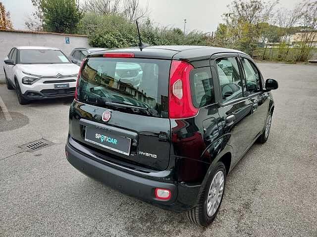 Fiat Panda 1.0 FireFly S&S Hybrid Icon ** KM Ø **
