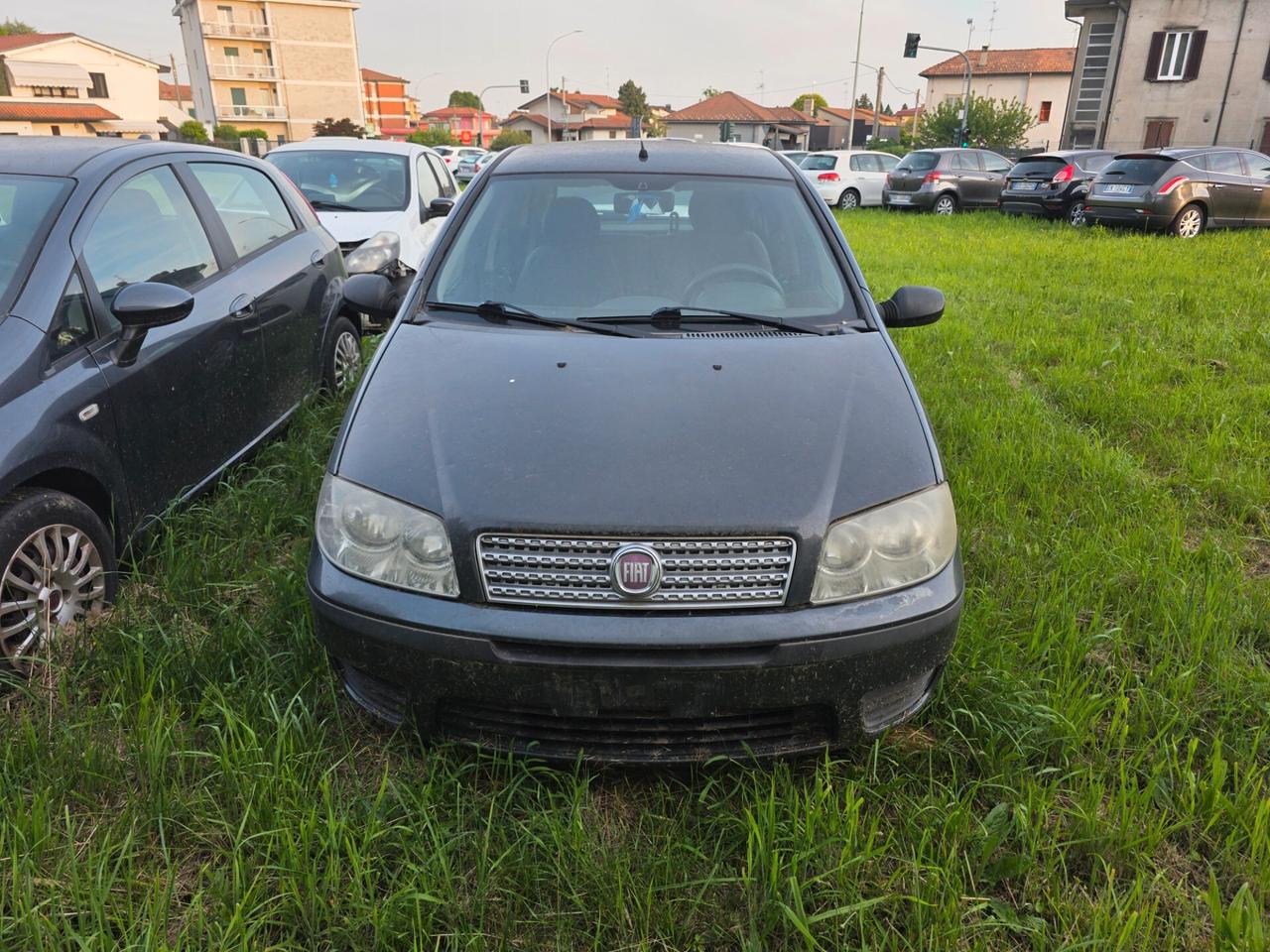 Fiat Punto Evo 1.3 Mjt 75 CV 5 porte Active