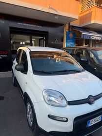 Fiat Panda 1.0 FireFly S&S Hybrid | Anno 2021
