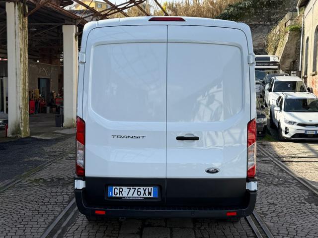 FORD Transit 290 2.0TDCi EcoBlue 130CV PM-TM Furgone ISOTERMICO