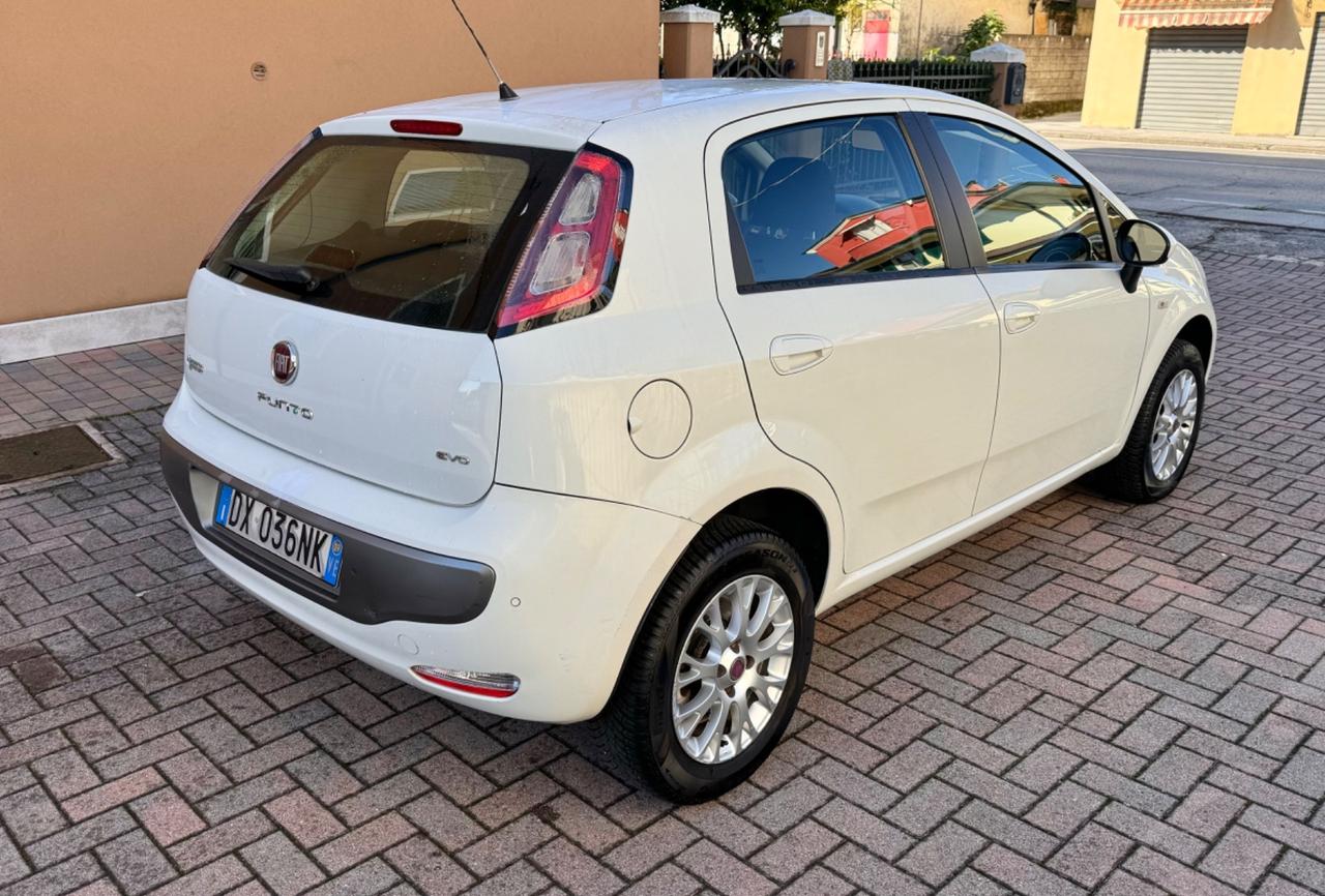 Fiat Punto Evo a Metano Ok Neopatentati