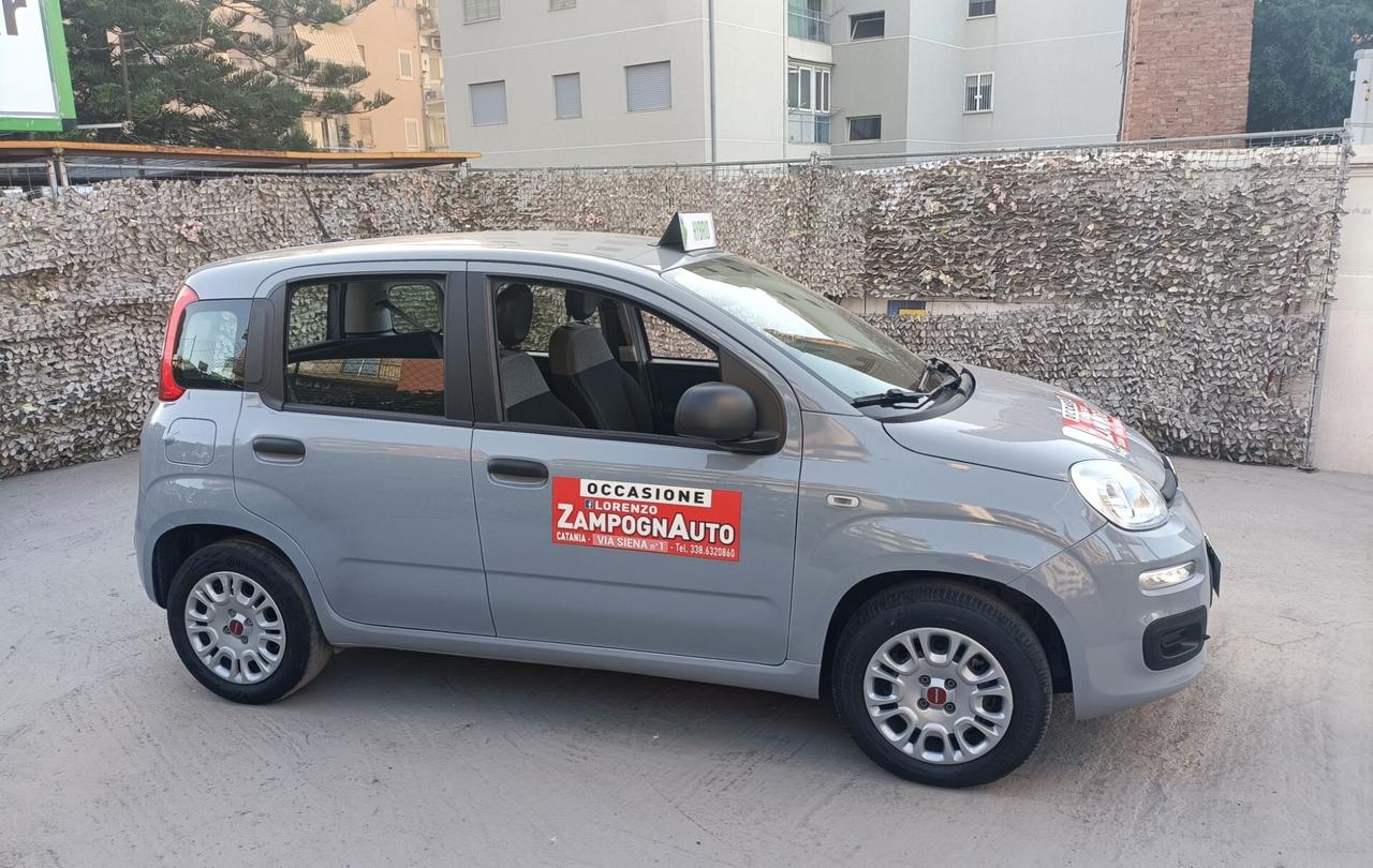 Fiat Panda 1.0 FireFly S&S Hybrid City Life ZAMPOGNAUTO CT