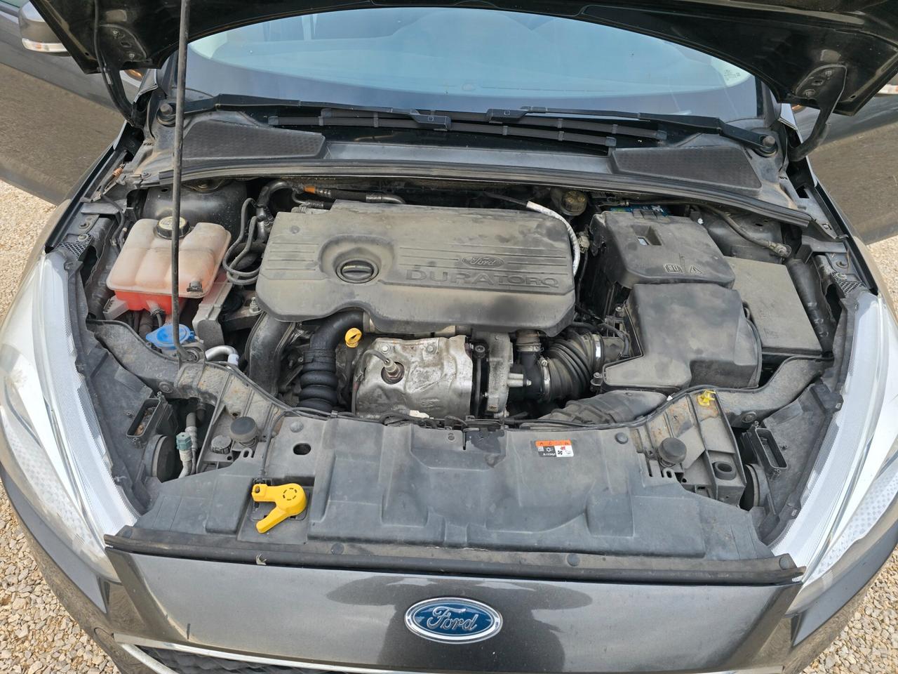 Ford Focus 1.5 TDCi 120 CV Start&Stop Pow. SW Titanium Business