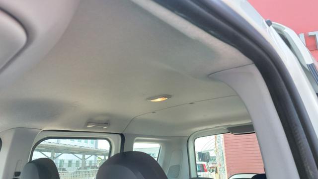 FIAT Doblo Doblò 1.6 MJT 16V Dynamic Az. Italia 100.000 Km