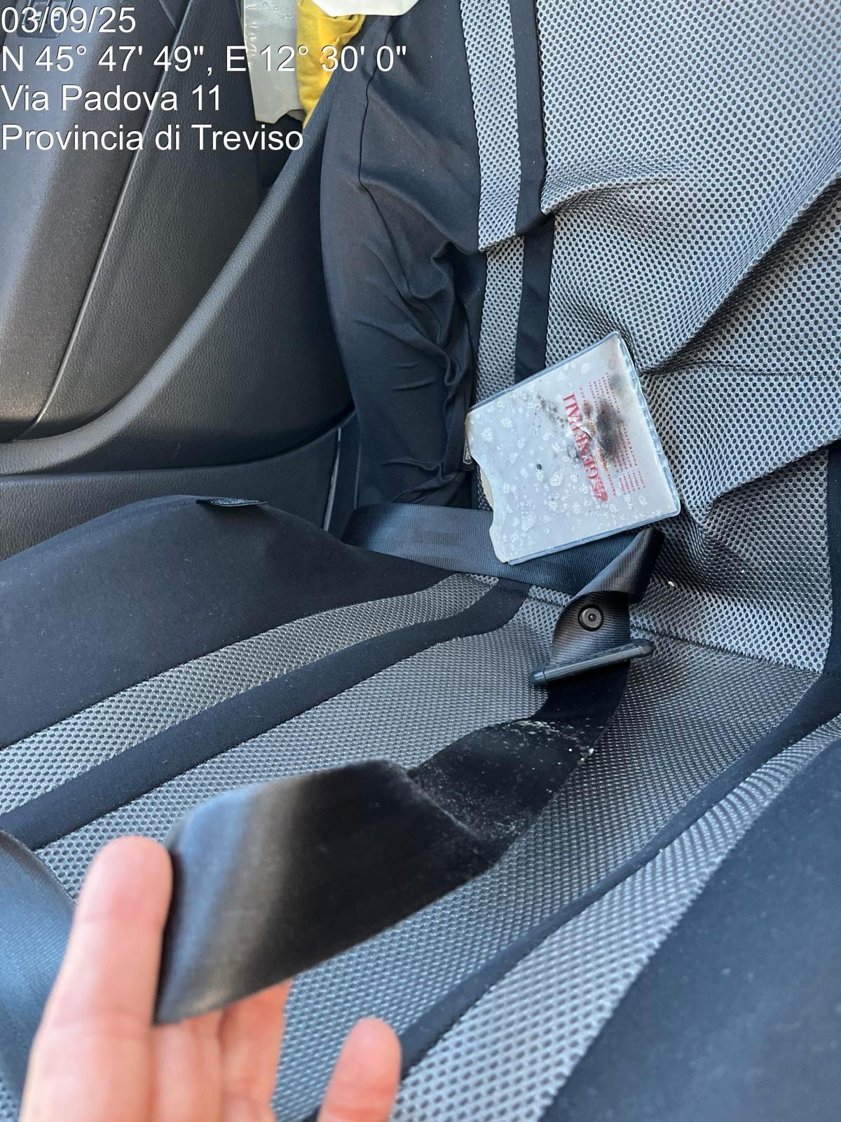 Volkswagen Polo 1.2 TSI 5p. Comfortline BlueMotion Technology