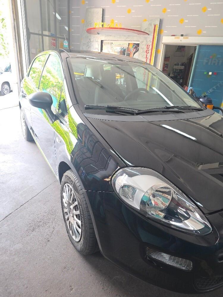 Fiat Punto 1.2 8V 5 porte Street