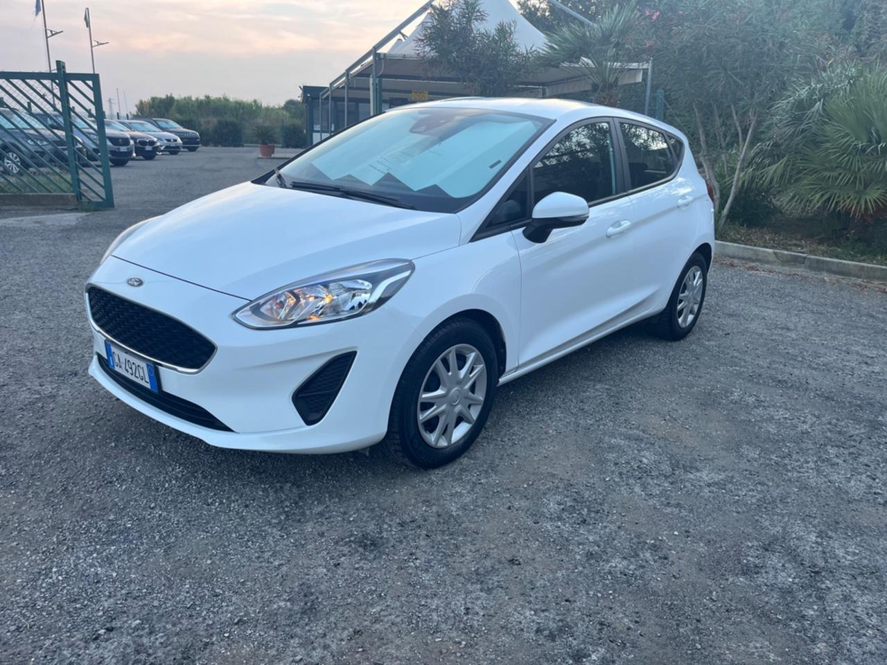 Ford Fiesta 1.5 EcoBlue 5 porte Business