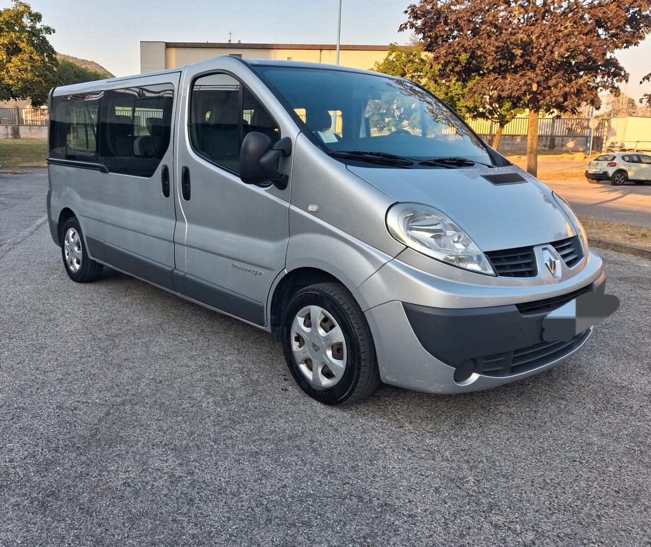 Renault Trafic T27 2.0 dCi/90 PC-TN Furgone Ice