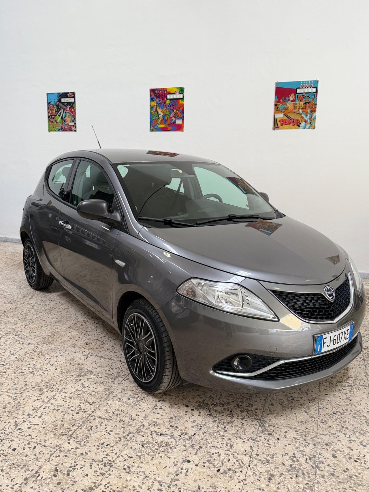 Lancia Ypsilon 1.3 MJT 16V 95 CV 5 porte S&S Platinum