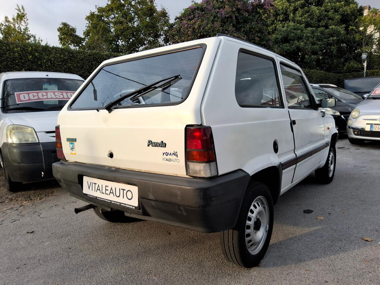 Fiat Panda 900 i.e. cat Young
