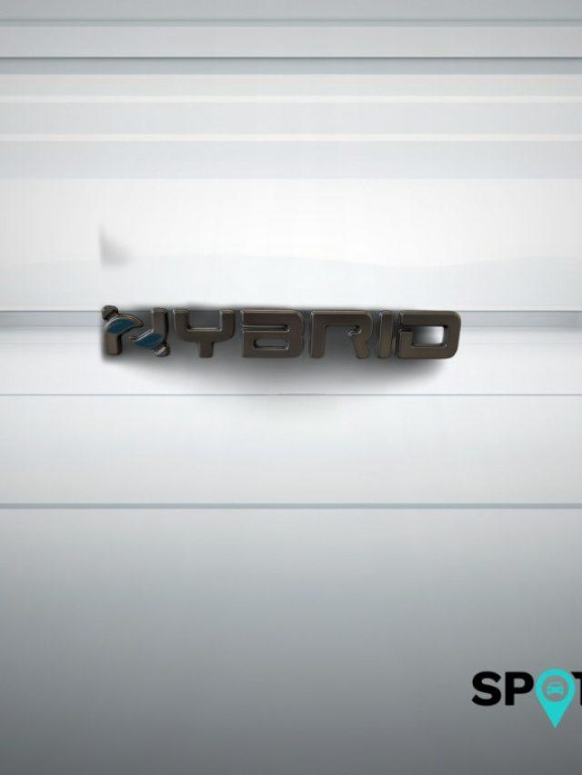 FIAT Panda Pandina Van Pop 1.0 Hybrid 65cv S&S -2 Posti