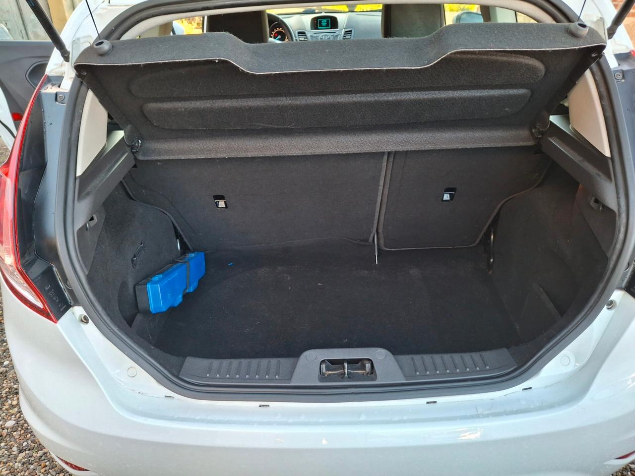 Ford Fiesta 1.5 TDCi 75CV 3 porte Black & White Edition