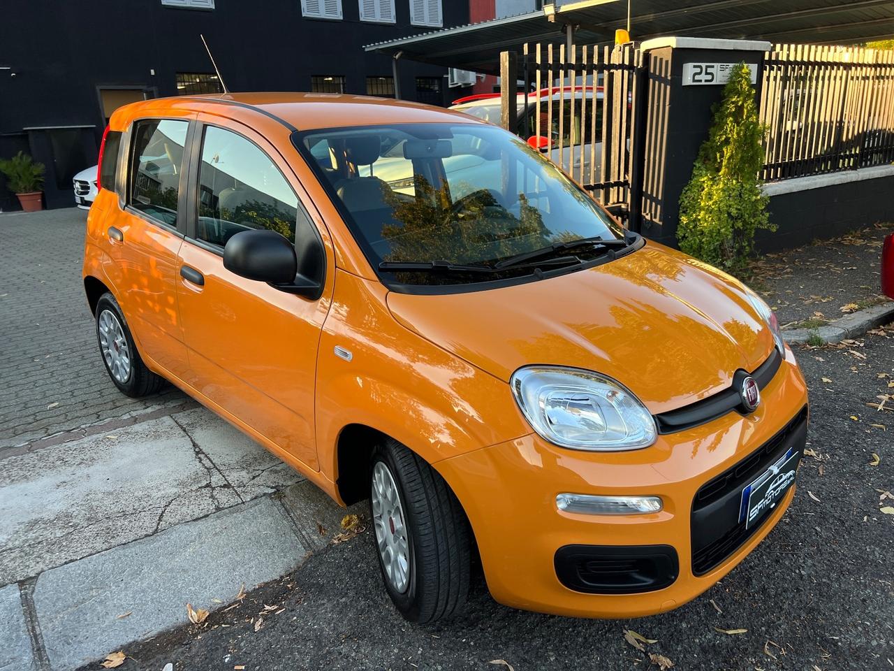 Fiat Panda 1.0 FireFly S&S Hybrid PREZZO REALE