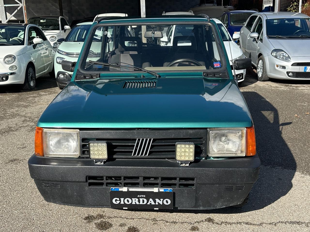 Fiat Panda 1100 i.e. cat Young