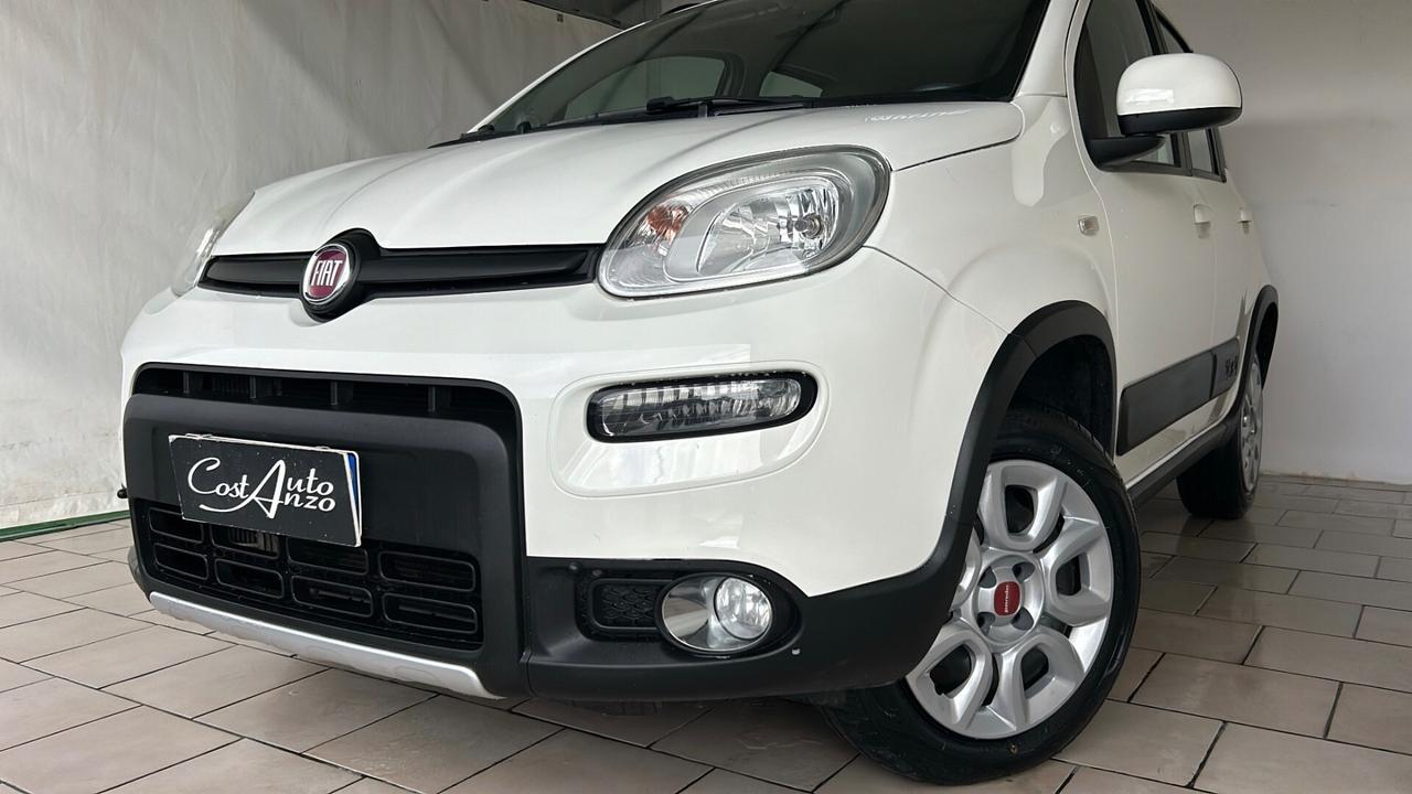 Fiat Panda 1.3 Multijet 75 cv 4x4 2013 TREKKING