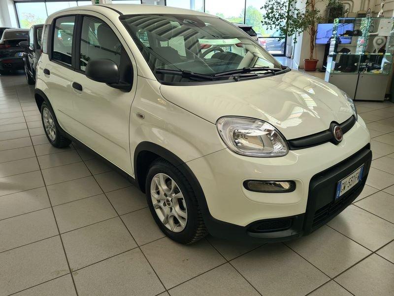 FIAT Panda 1.0 FireFly 70cv S&S Hybrid Pandina