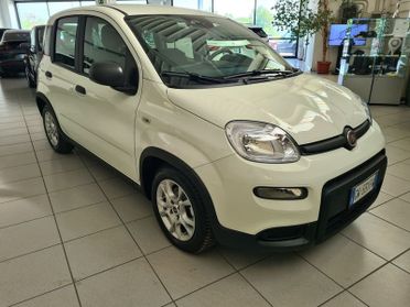 FIAT Panda 1.0 FireFly 70cv S&S Hybrid Pandina