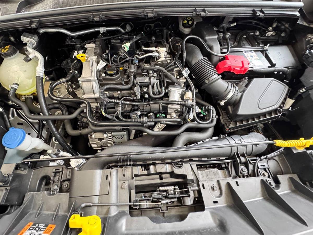 FORD Puma FORD Puma 1.0 ecoboost h st-line s&s 125cv new