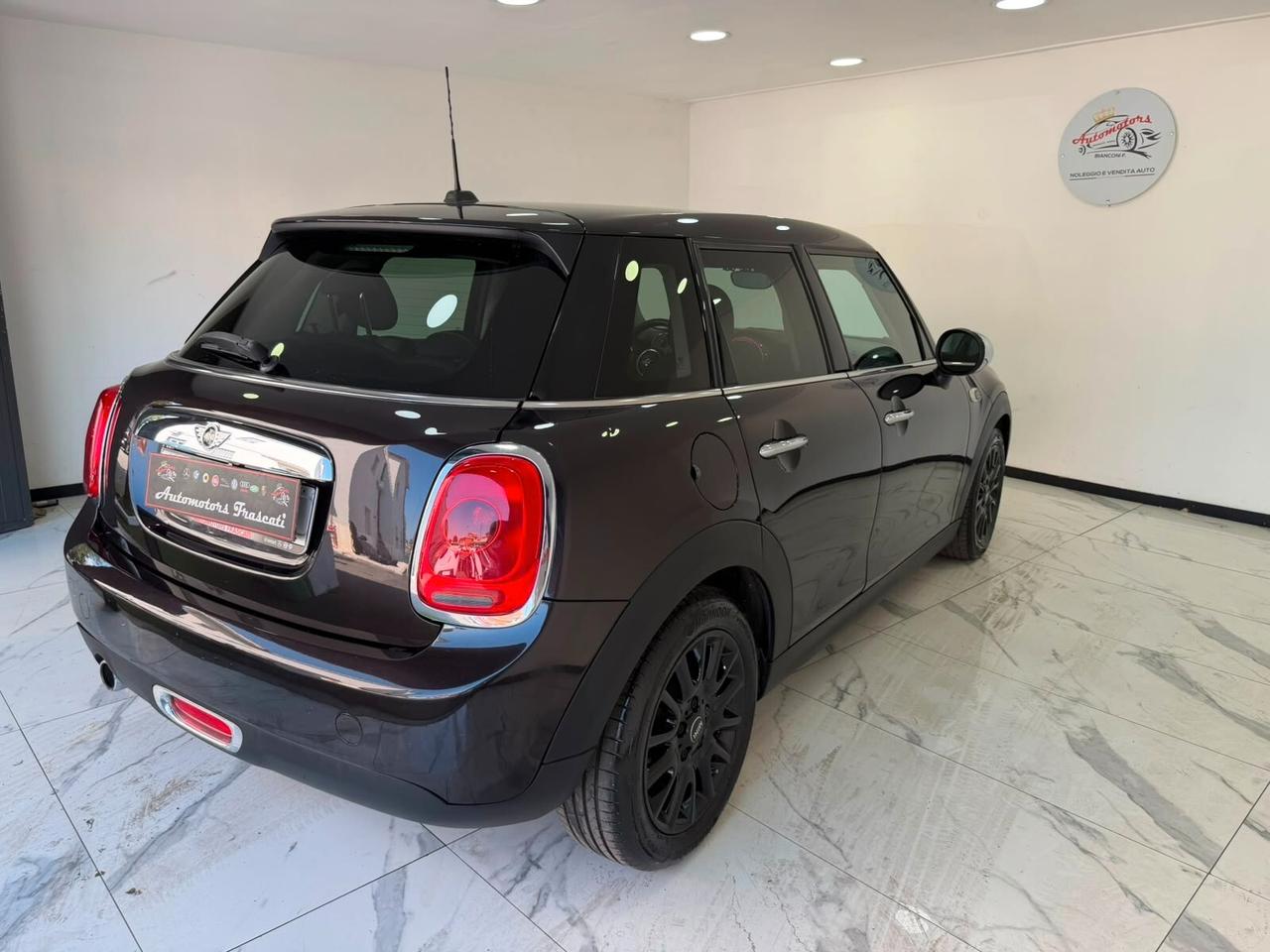 Mini 1.5 One D-GARANTITA-2015
