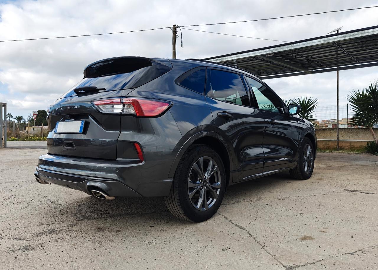 Ford Kuga 1.5 EcoBlue 120 CV aut. 2WD ST-Line X