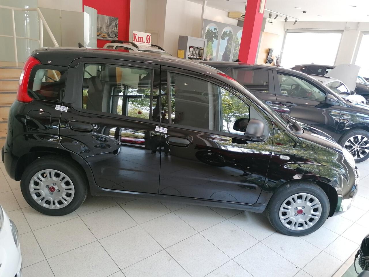 Fiat Panda 1.0 FireFly S&S Hybrid PREZZO REALE