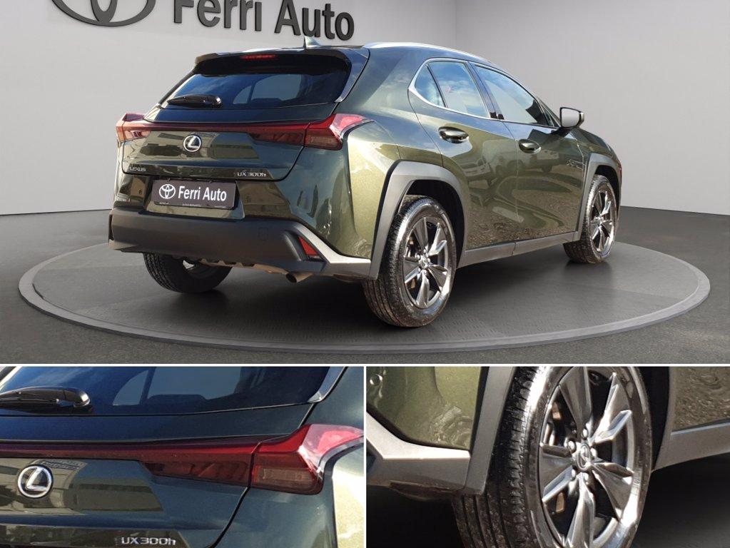 LEXUS Ux 300h 2.0 urban 2wd cvt del 2024