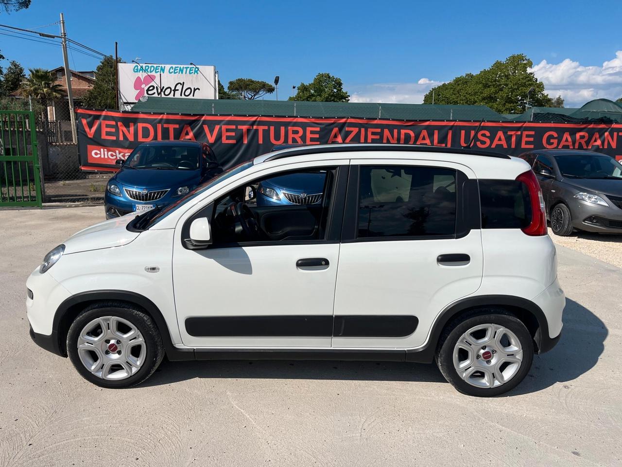 Fiat Panda 1.0 FireFly S&S Hybrid City Life - (PROMO MESE) - Unico proprietario - 33.229 KM