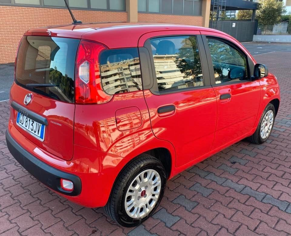 FIAT PANDA EASY 1.2cc 5 POSTI