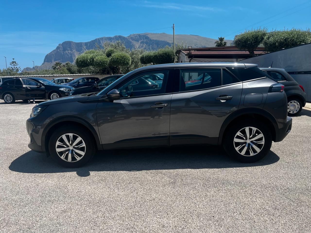 Peugeot 2008 PureTech 100 S&S Active