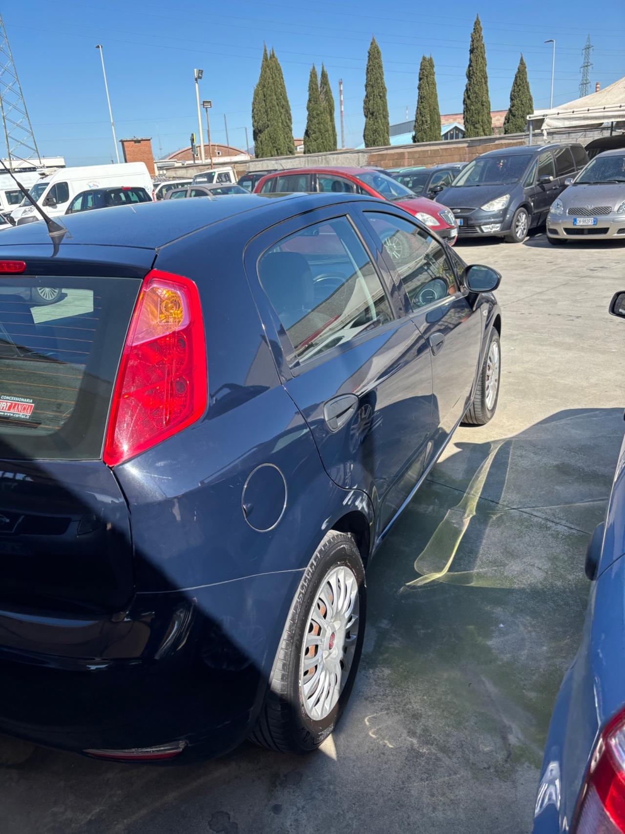 Fiat Punto 1.2 8V 5 porte Lounge per neopatentati