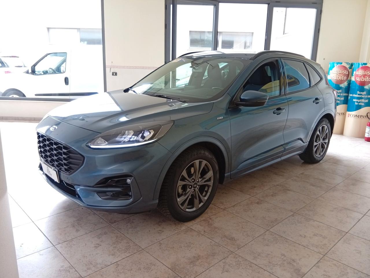 Ford Kuga 1.5 EcoBlue 120 CV aut. 2WD ST-Line