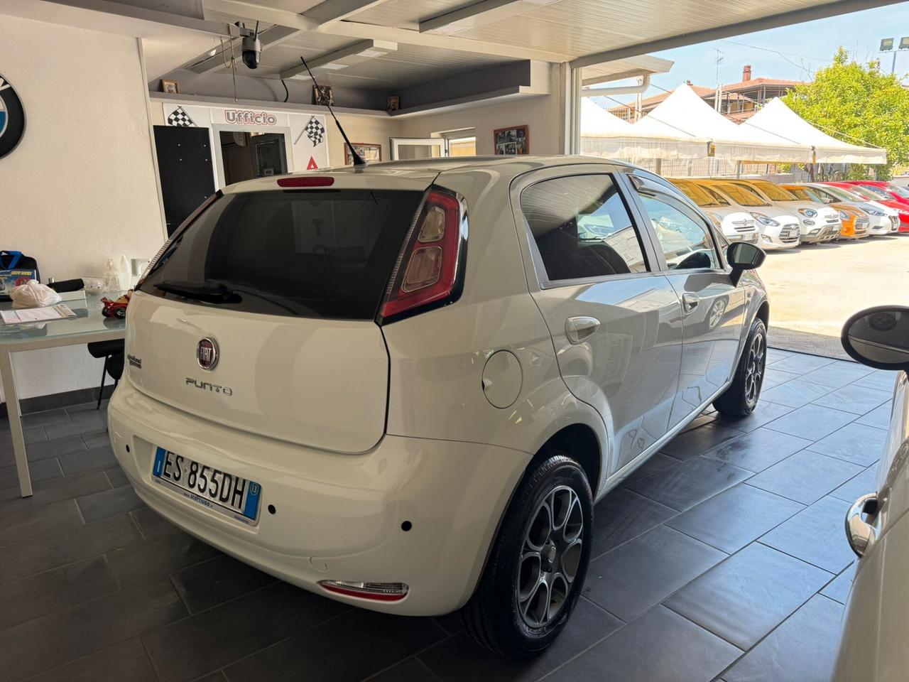 Fiat Punto Evo 1.4 5 porte S&S Dynamic NaturalPower