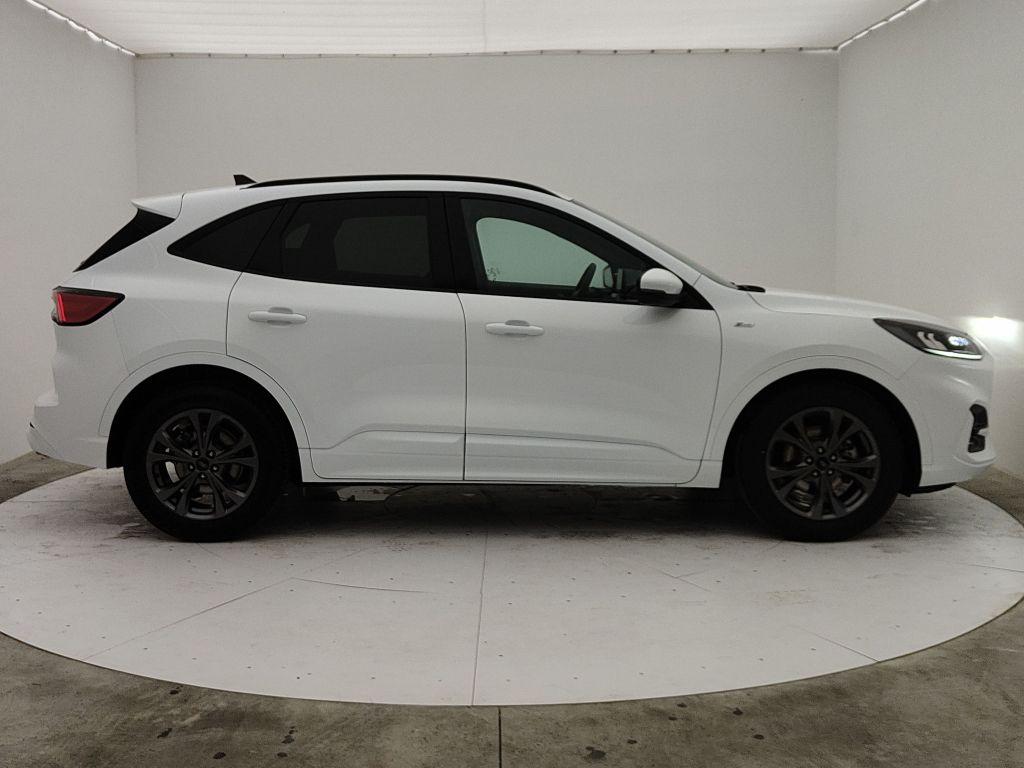 FORD Kuga 3ª serie - Kuga 1.5 EcoBlue 120 CV 2WD ST-Line