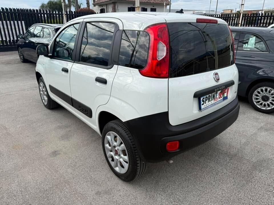 Fiat Panda 4x4 van 2 posti