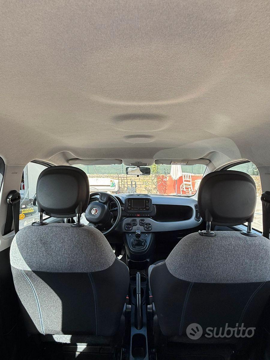 fiat panda