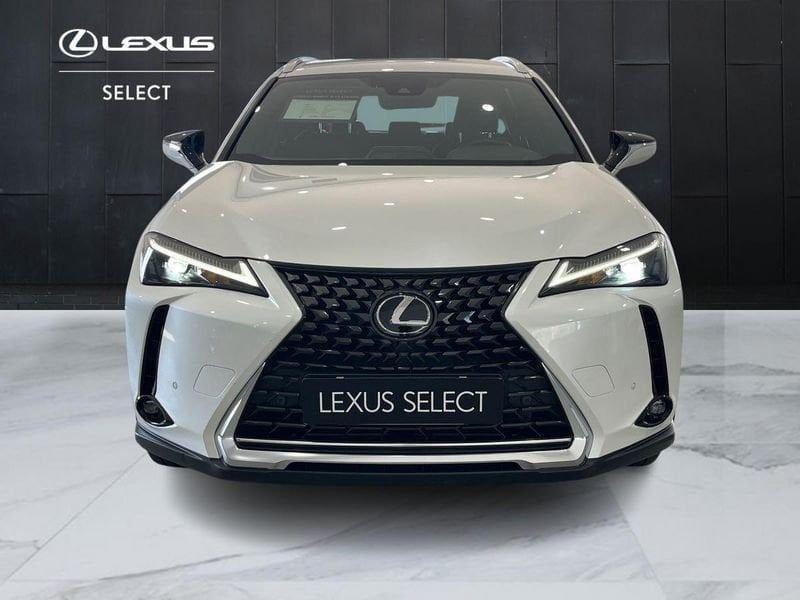 Lexus UX 250h Luxury 2wd cvt