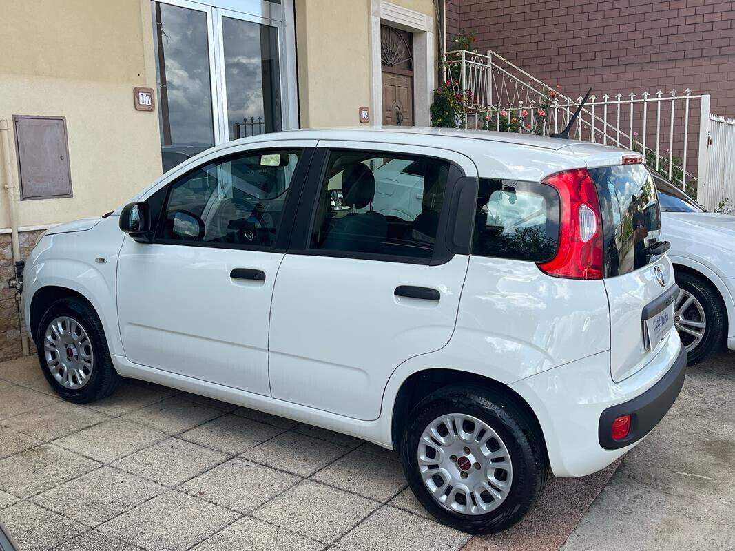 Fiat Panda 1.2 Easy 69cv my19 "Adatta anche per neopatentati" (Fendinebbia - Clima - Uconnect - Usb - Ruotino)