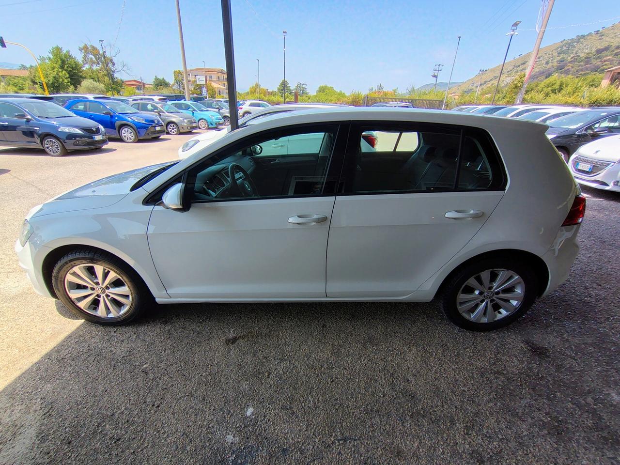 Volkswagen Golf 1.6 TDI 110 CV 5p. Highline BlueMotion Technology