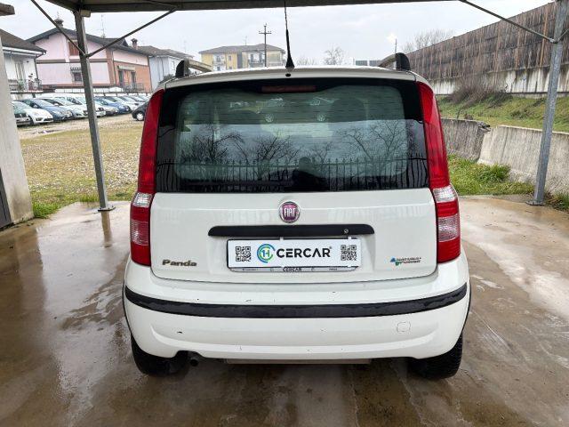 FIAT Panda 1.2 Dynamic BENZ/METANO OK NEOPATENTATI FARI FENDI