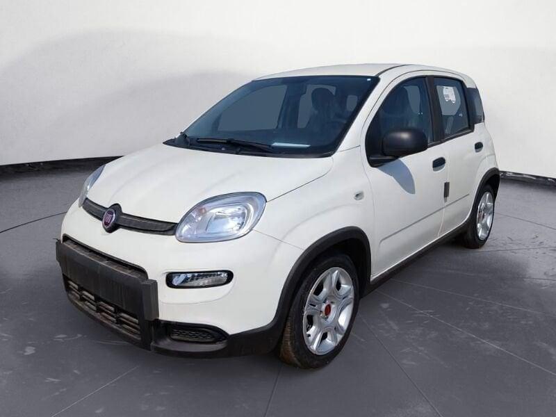 FIAT Panda NEW My23 1.0 70cv Hybrid Panda